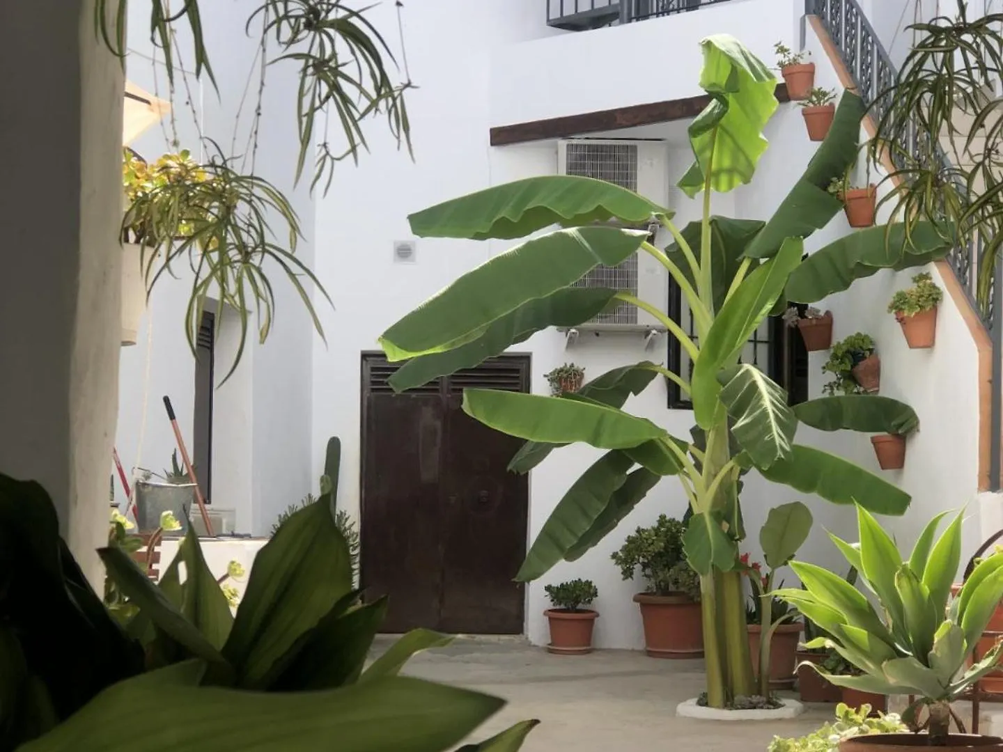 Loft La Abuela Apartment Vejer de la Frontera Spain